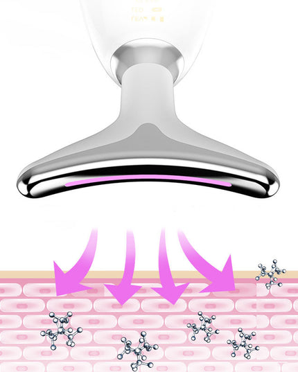 Apparecchio di bellezza per la desalinizzazione